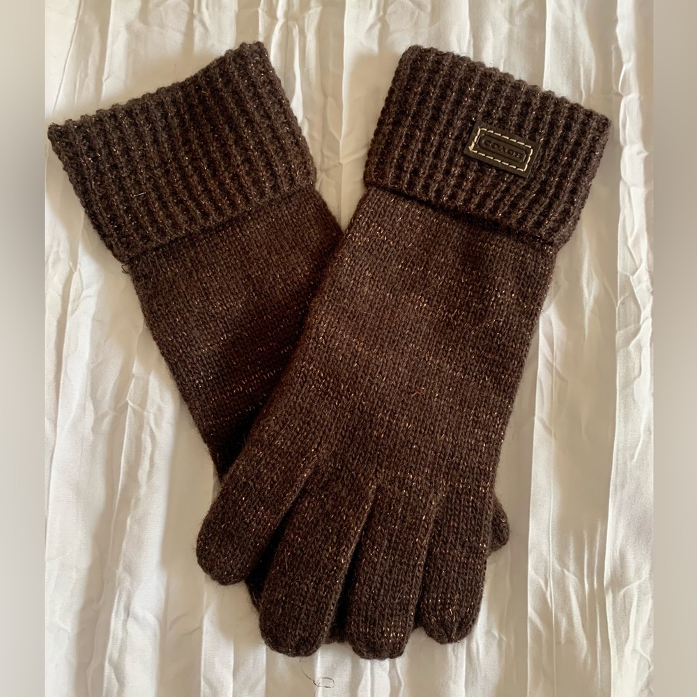 Brown Coach Gloves